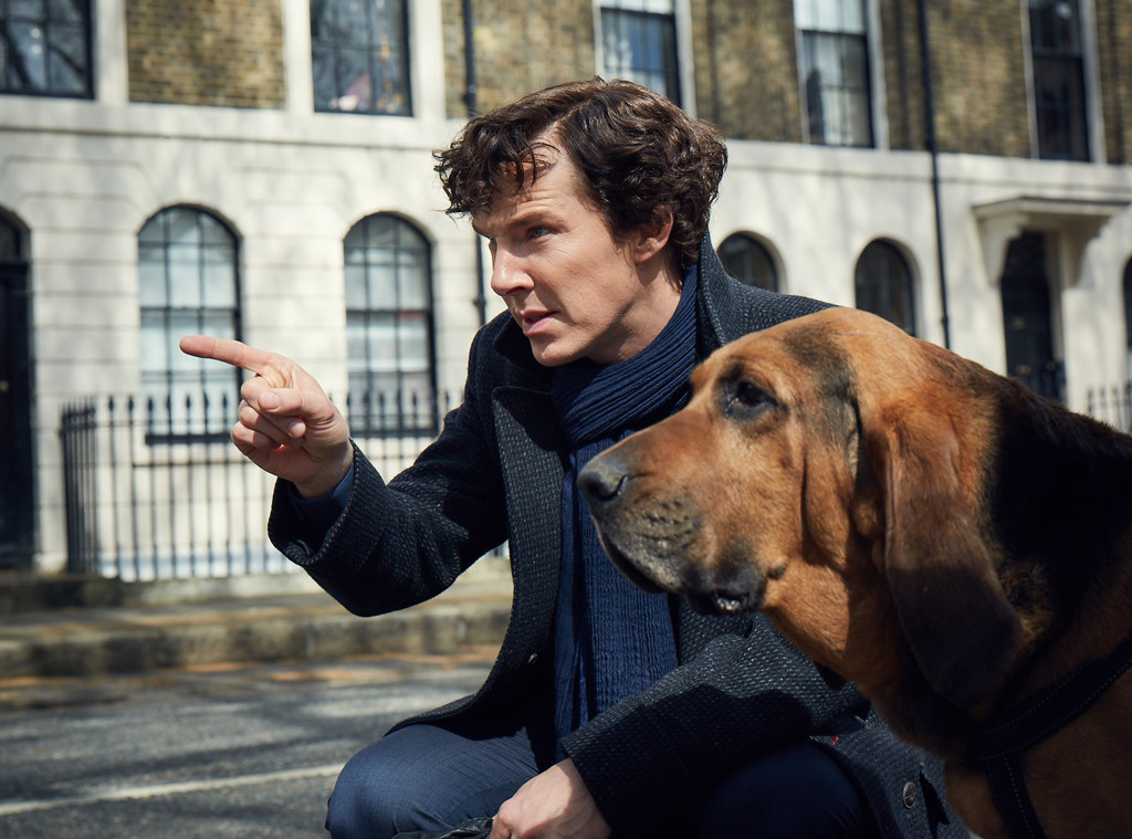 Sherlock, Benedict Cumberbatch Sherlock, Benedict Cumberbatch